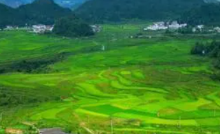聚焦高标准农田建设 持续...